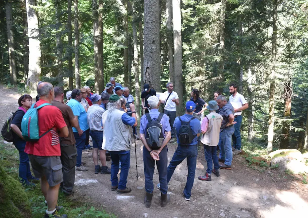 Visite dans la forêt de Burnisson (2019)