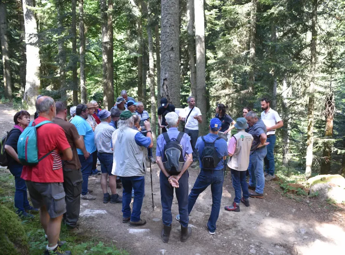 Visite dans la forêt de Burnisson (2019)