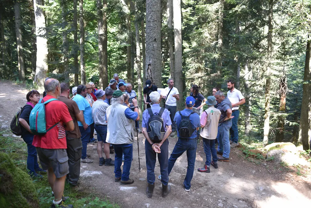 Visite dans la forêt de Burnisson (2019)